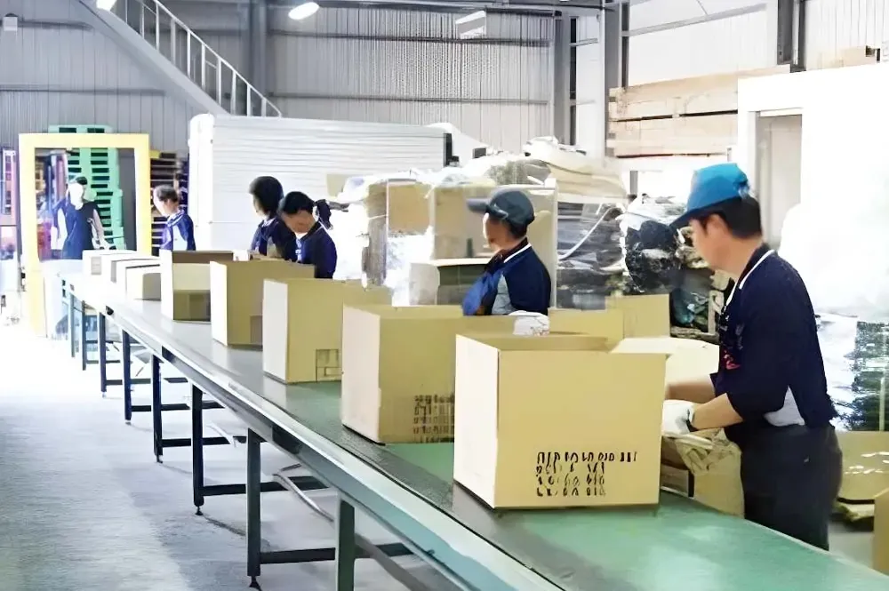Conveyor & Packing
